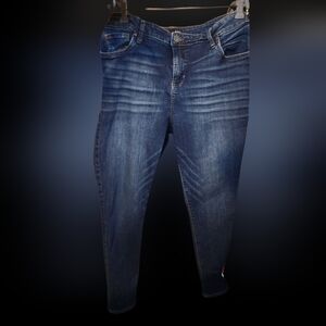 Kut From The Kloth Blue Skinny Jeans Women’s 18W